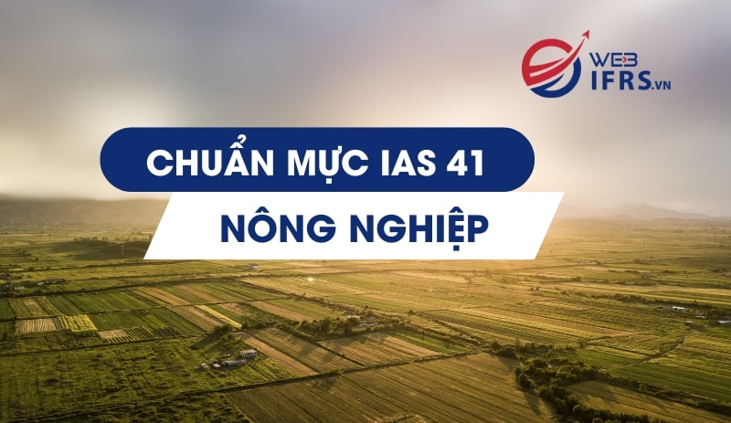 chuan-muc-ias-41-min.jpg